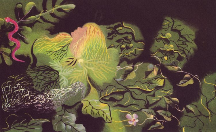 Emerging genius no. 5: Hiroshi Yoshimura - Soundscape 1 Surround