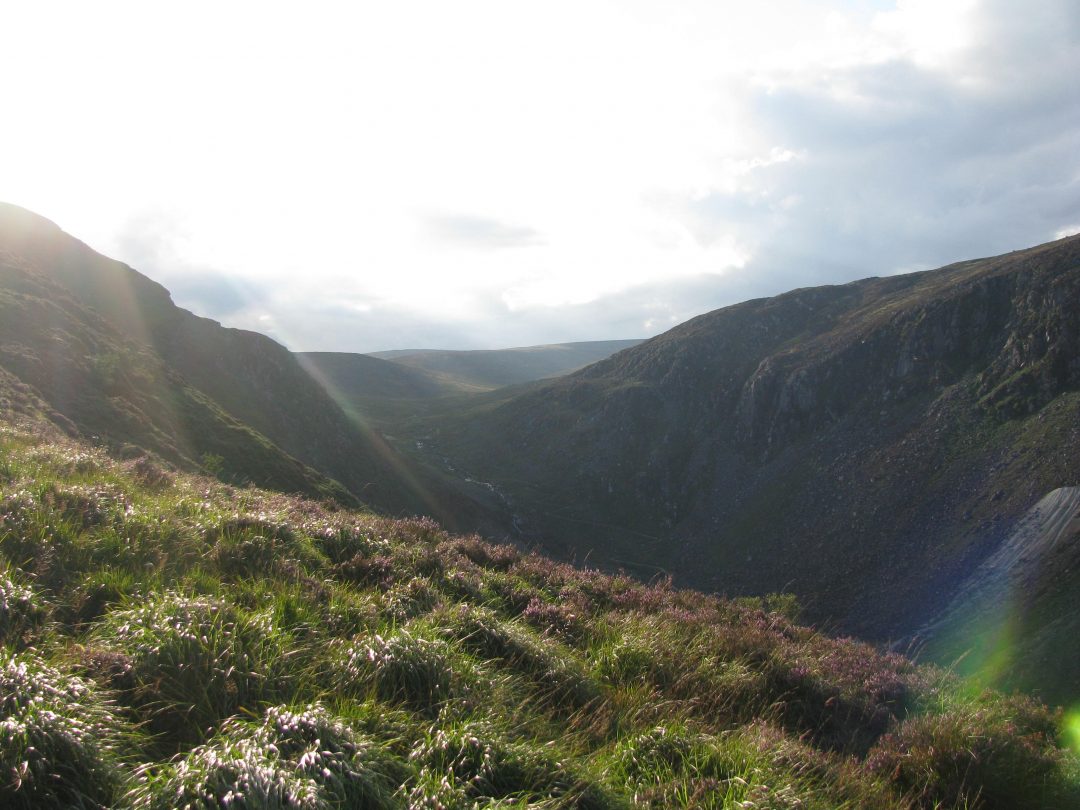 Among the Irish Faeries and Norse Gods
