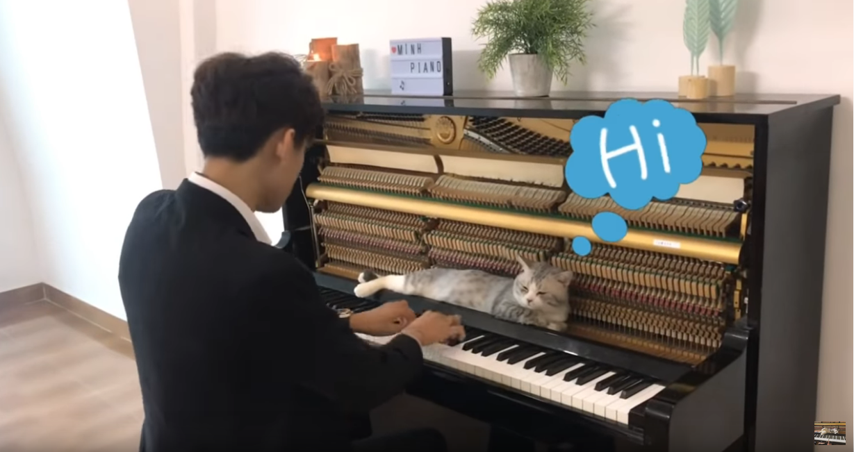 10 Uplifting Things I Found on the Internet This Week #8