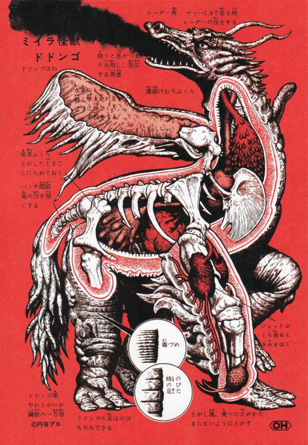 An Anatomical Guide to Godzilla and other Gigantic Japanese monsters