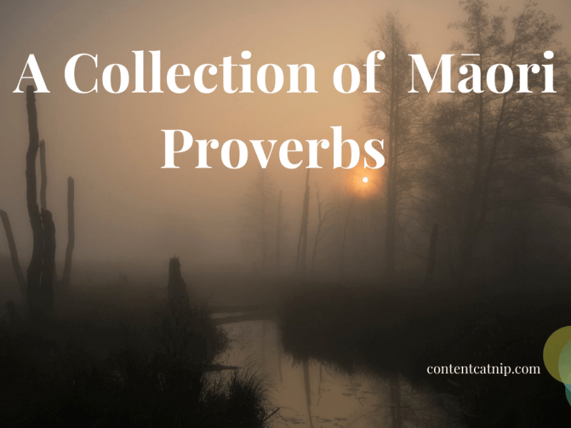 A Collection of Māori proverbs for you to keep and&nbsp;use