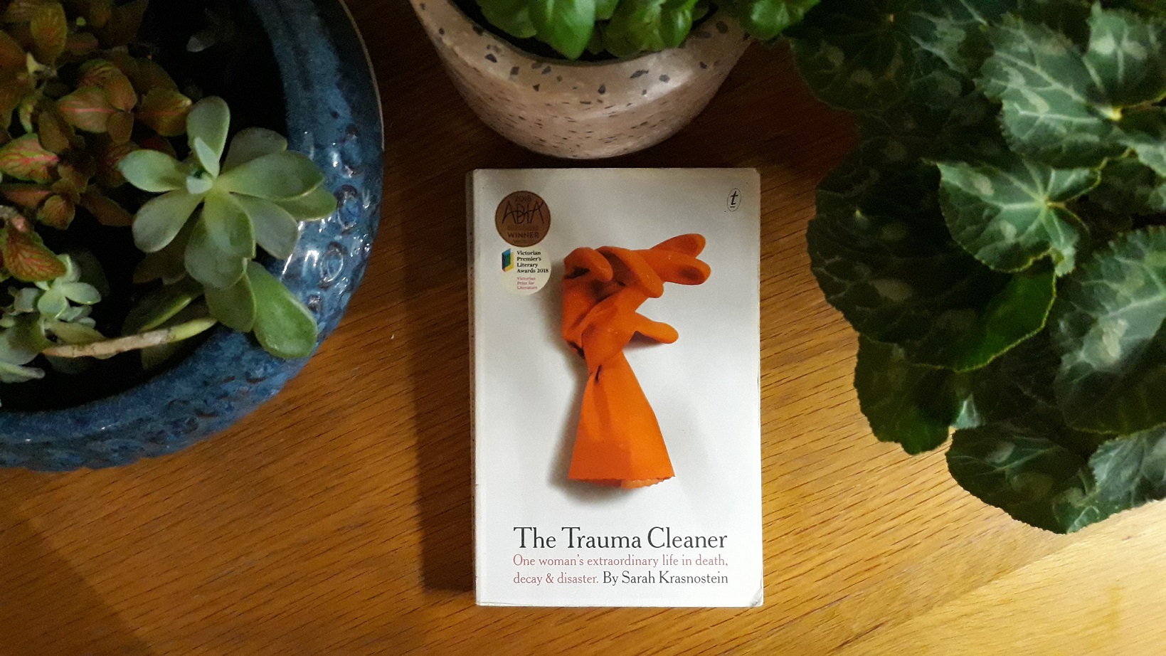 Book Review: The Trauma Cleaner: One woman’s extraordinary life in decay and disaster by Sarah Krasnostein