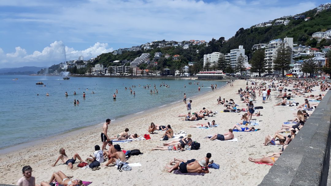 An effervescent, mellow and energised summer playlist for 2020