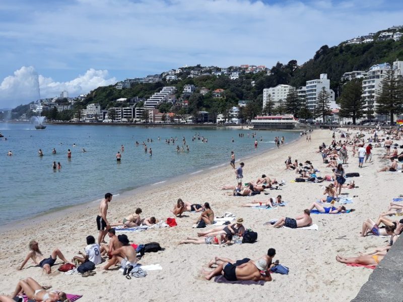 An effervescent, mellow and energised summer playlist for&nbsp;2020