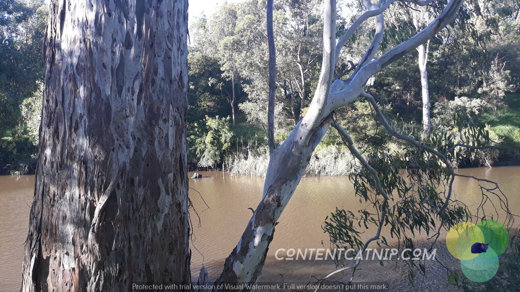 Travel: On Melbourne's Yarra River cycle trail