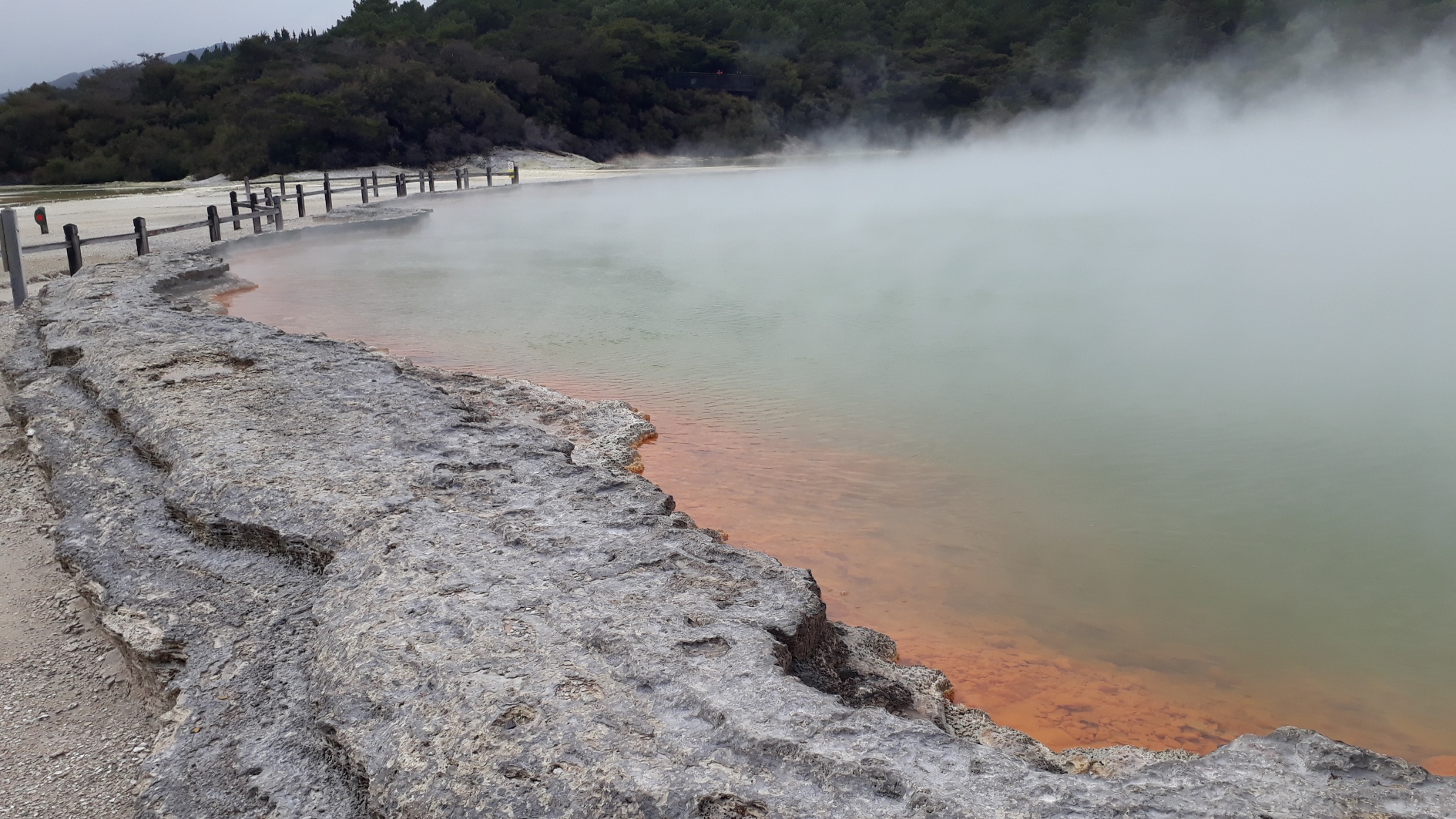 Welcome to the rumbling belly of the shaky isles: Taupo and Rotorua Part Two