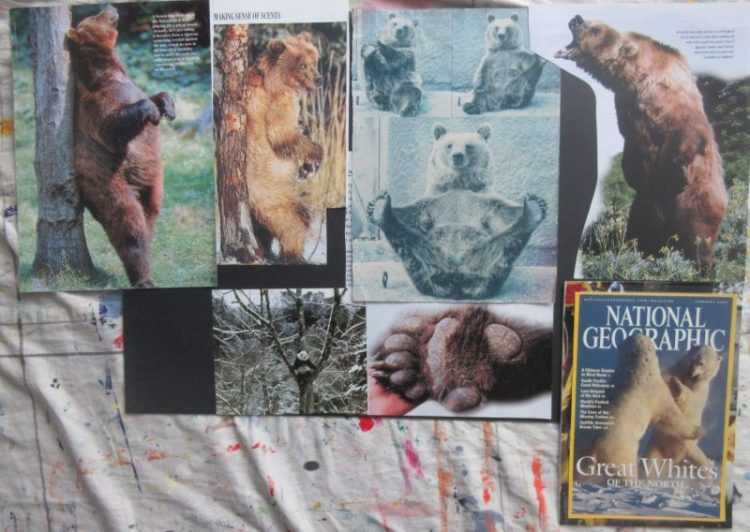 Animal mood boards - Bears