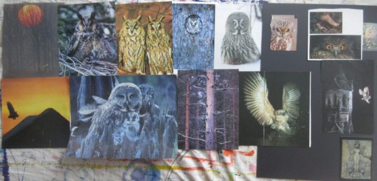 Animal mood boards - Owls