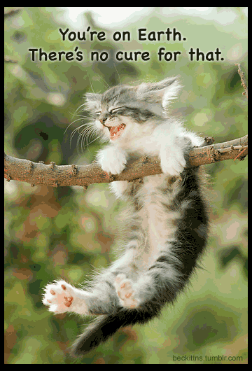 Samuel Beckett and Cats Talk About The Pointlessness of Existence