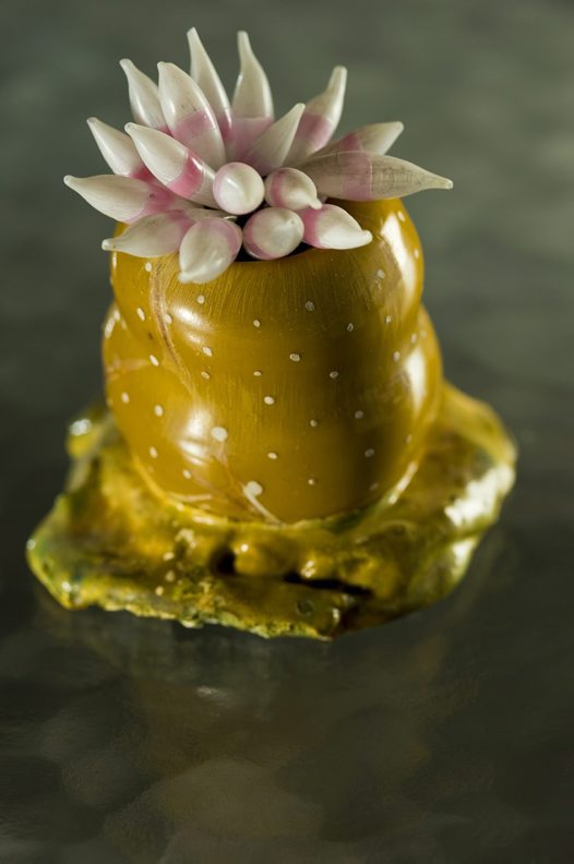 Exquisite Marine Invertebrates of the 19th Century http://wp.me/p41CQf-rWG