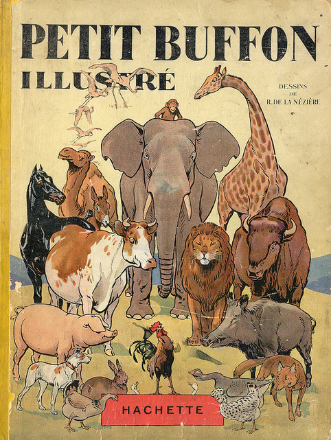 Dumbo and Co: Charming Pics of Mid Century Elephants