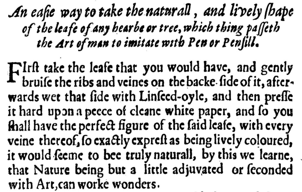 Ancient word of the day: Venation