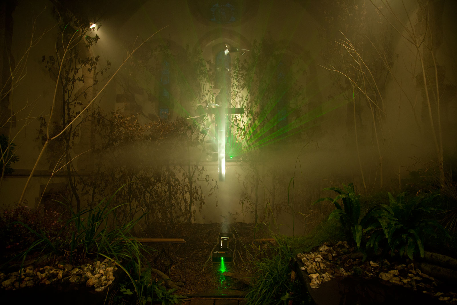 Churches, Weeds, Wildflowers and Wonder