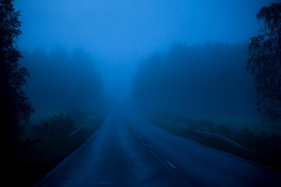 Maori nature ancient