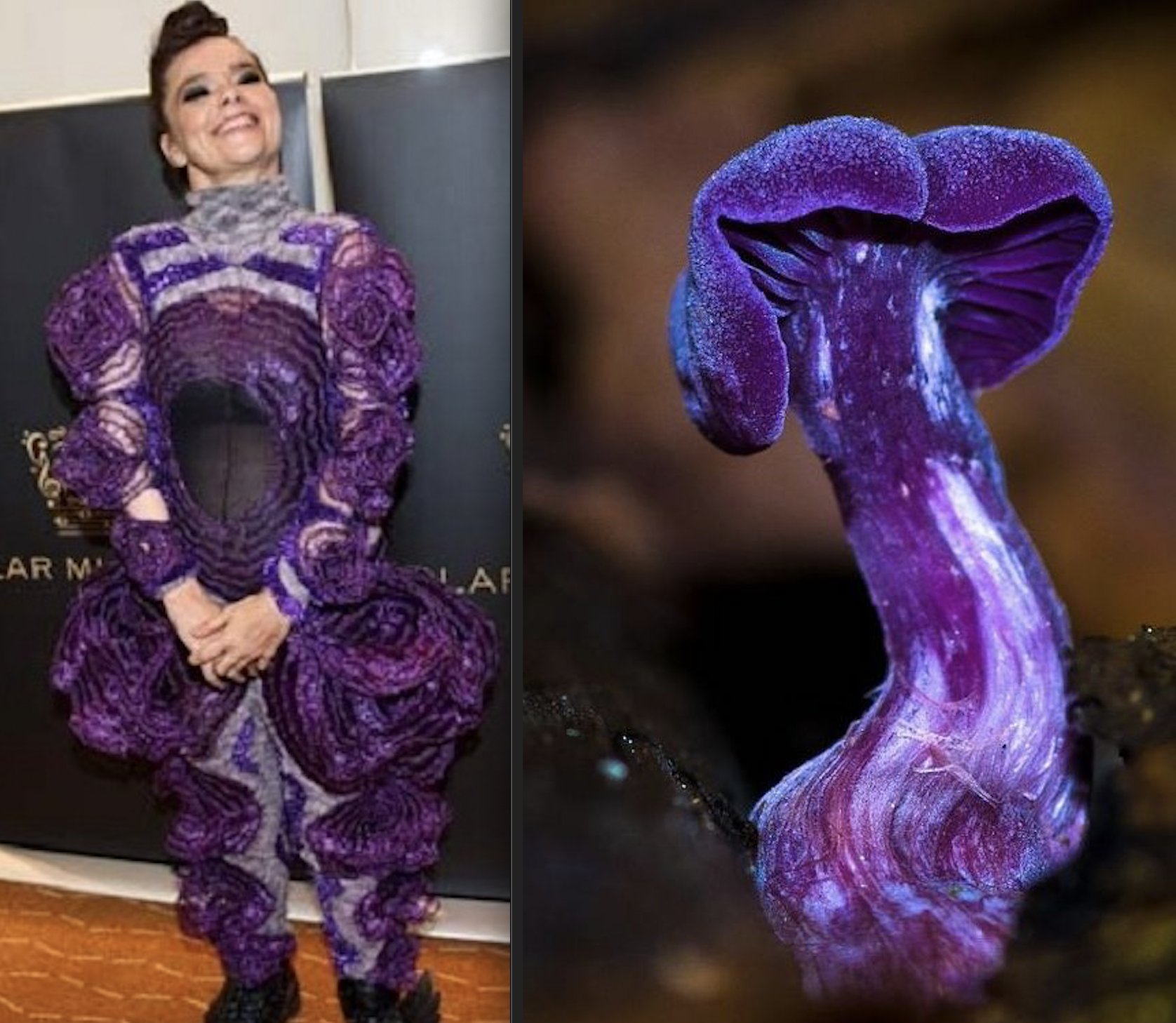 Björk as extravagant fungi