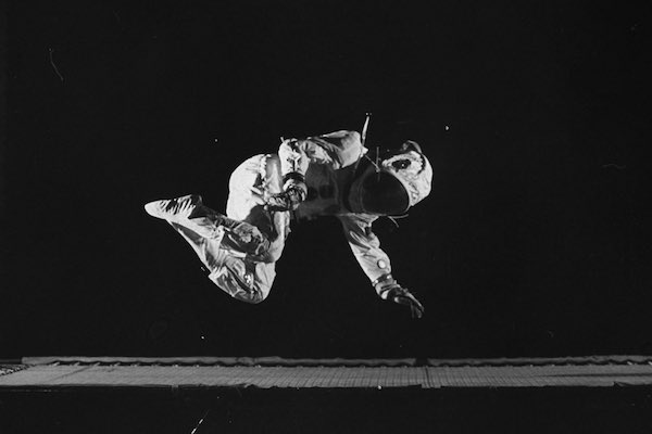 The Falling Cat Phenomenon: How NASA Trained Astronauts For Zero Gravity 