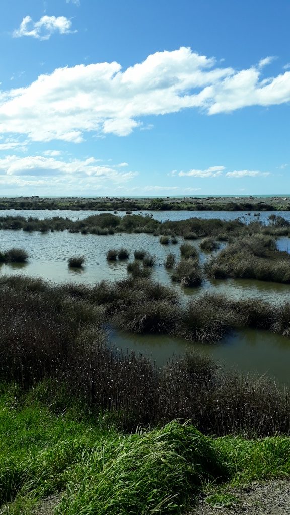 Travel: Napier's remote beaches and wineries by bike
