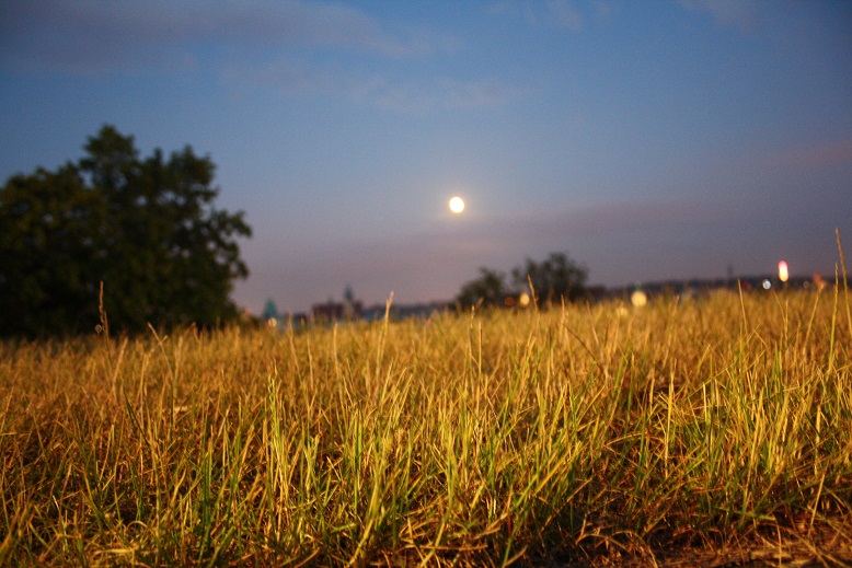 Krakow Summer Opera Season at Wawel Castle