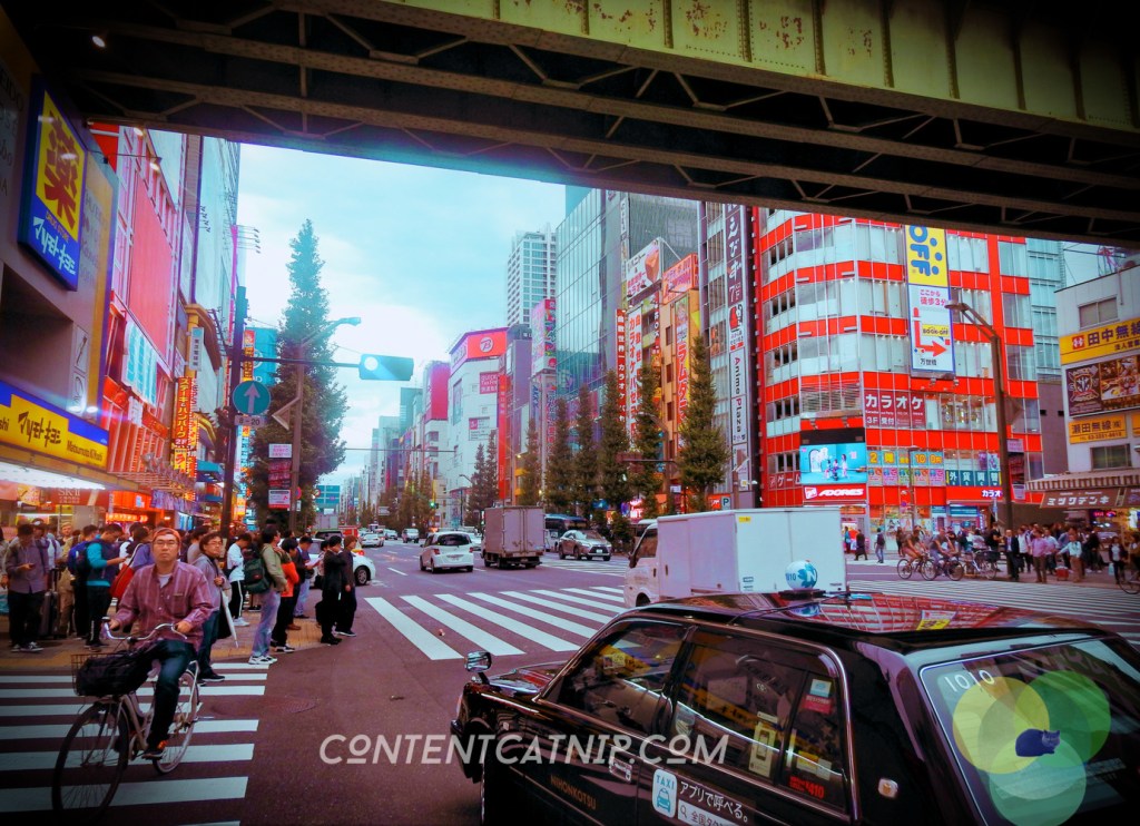 Ahikabara Tokyo during the day Copyright © Content Catnip 2018 www.contentcatnip.com