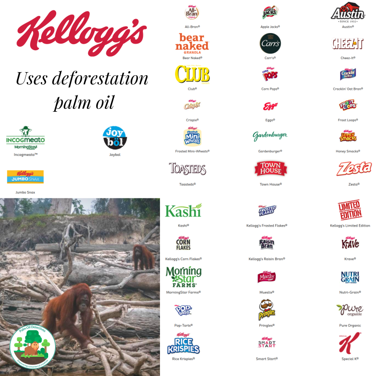 kelloggs-full-infographic