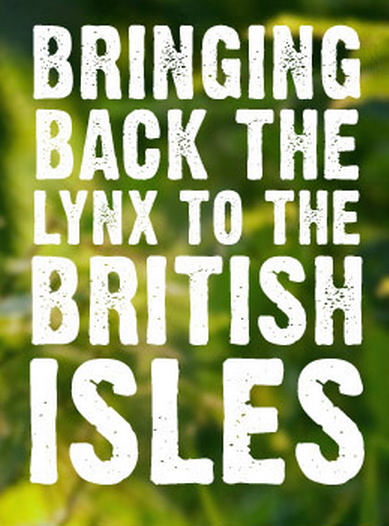 Bring Back The Eurasian Lynx To Britain!