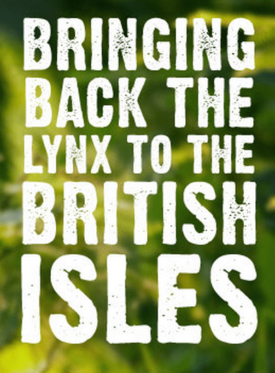 Bring Back The Eurasian Lynx To Britain!