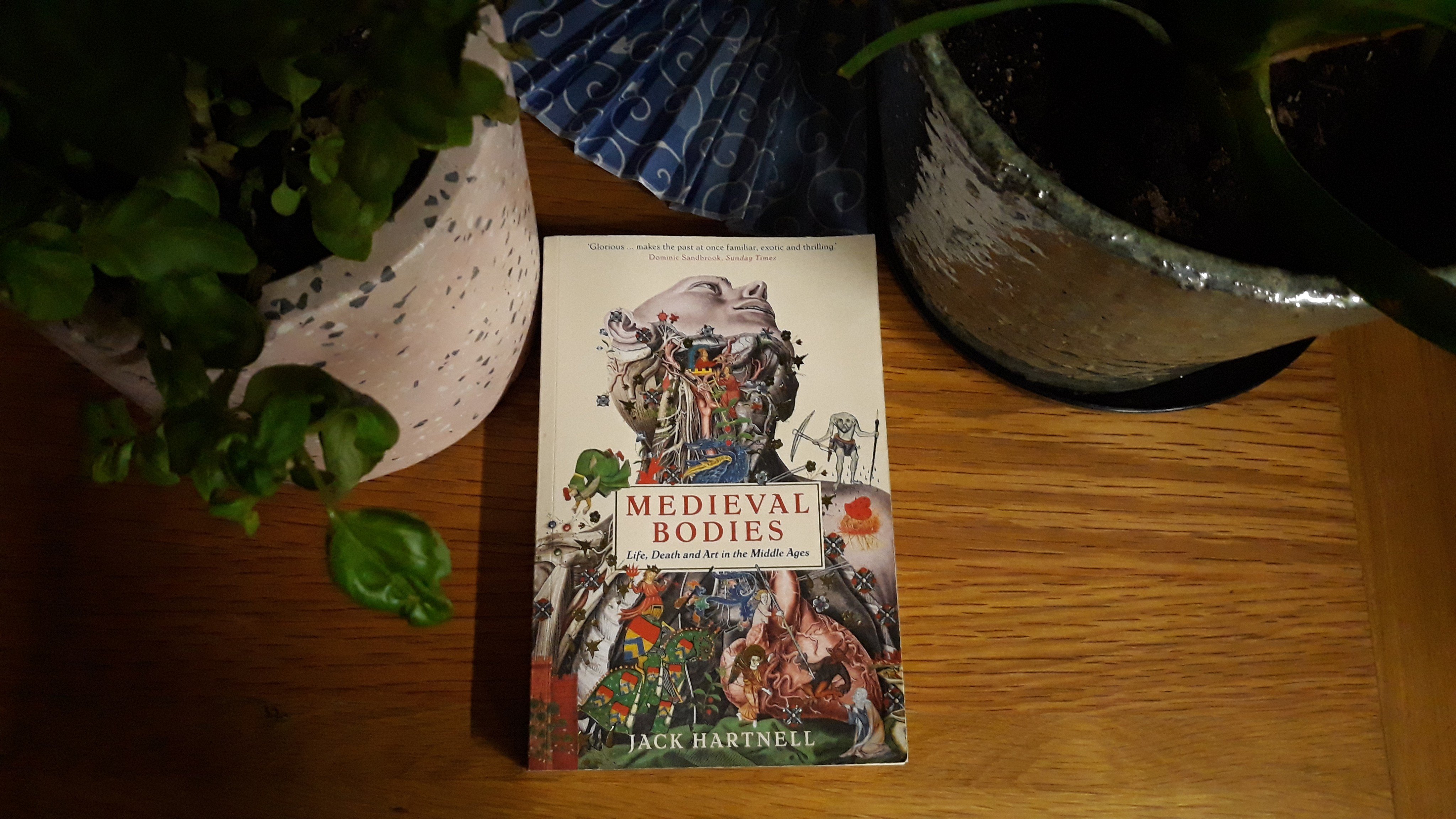 Book Review: Medieval Bodies by Jack Hartnell