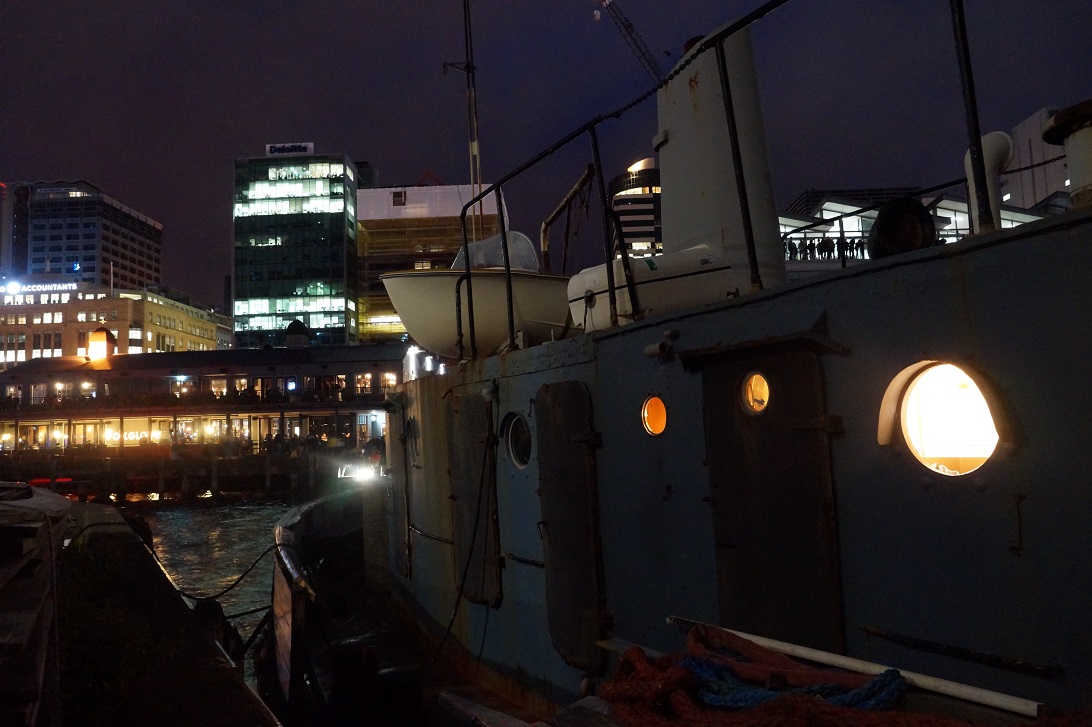 Windy Wellington shows her pretty side on Guy Fawkes Night