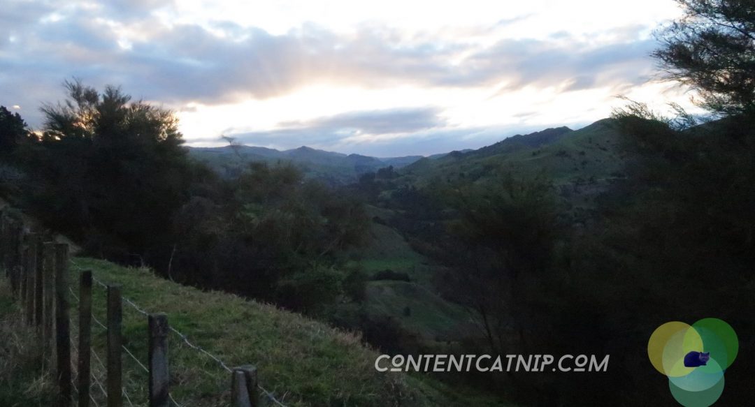 A roadtrip through the Bay of Plenty and Eastern Cape of the North Island