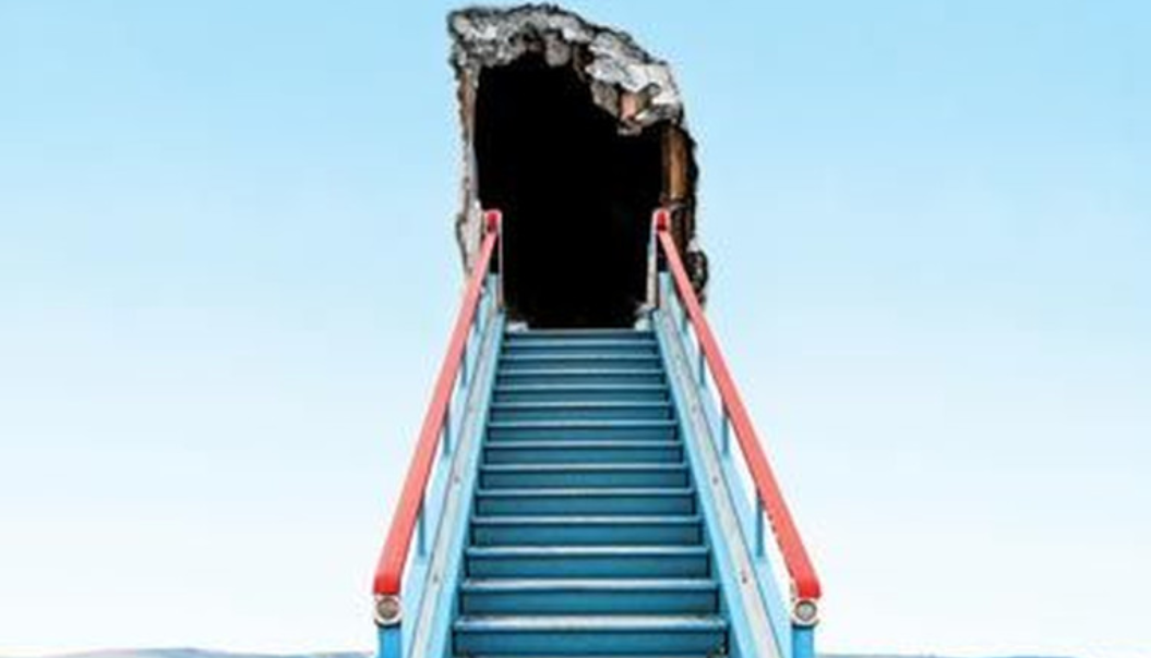 The Black Swan Model: the domesticated chicken and what it never expected