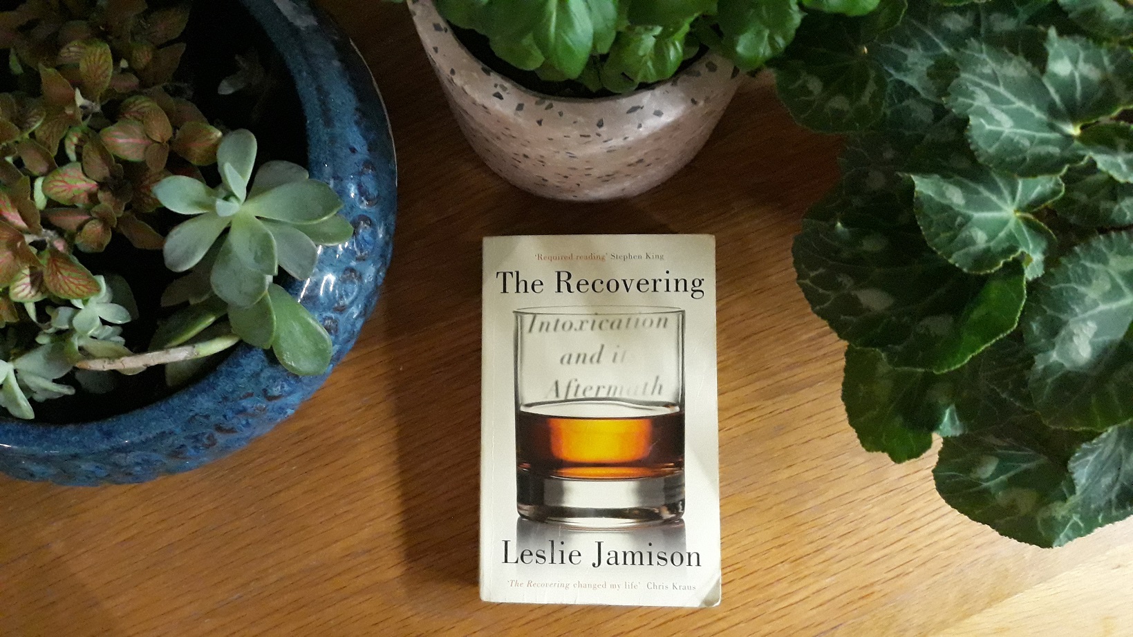 Book Review: The Recovering Intoxication and its Aftermath by Leslie Jamieson