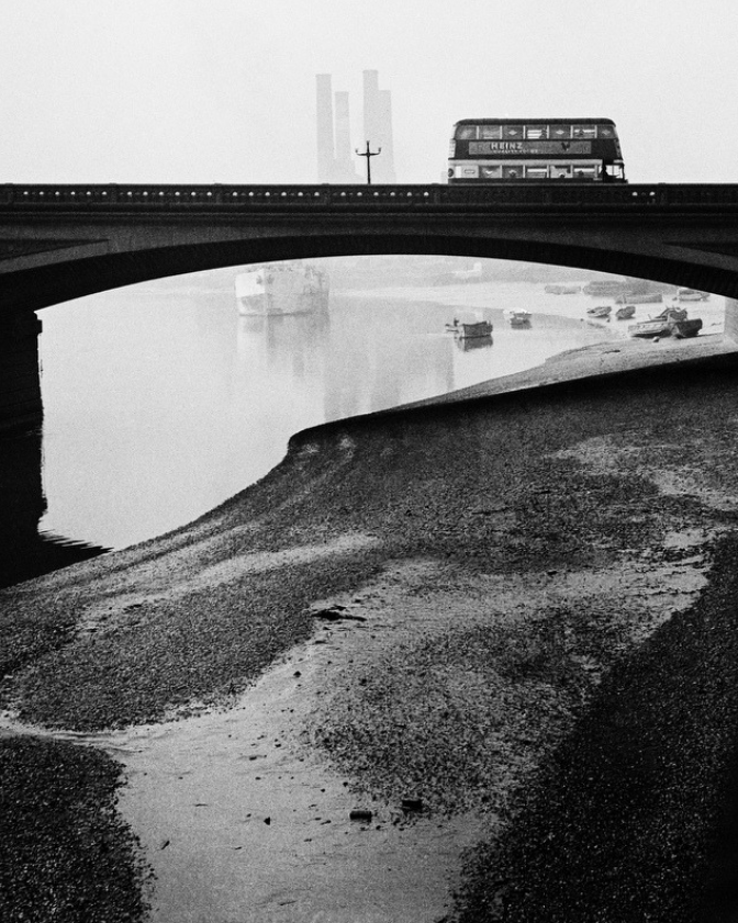 Don't cover scars | Olivia Laing, The Lonely City: Adventures in the Art of Being Alone