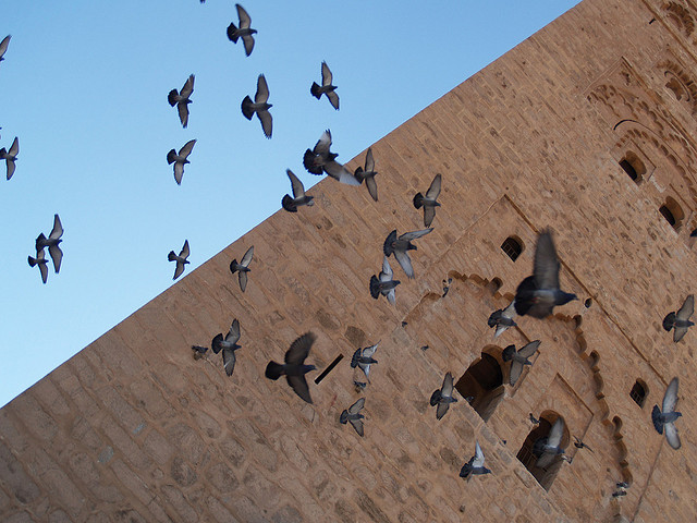 Maya Angelou: Leader of the Brave and Defiant