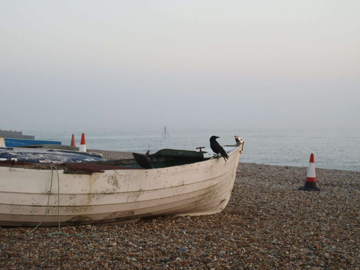 Stones of Hope - Artists & Writers in their Own Words: Maria Strutz