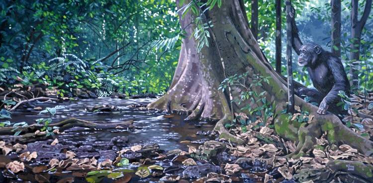 A beautiful painting of a chimpanzee in the jungle in Uganda by Szabolcs Kókay