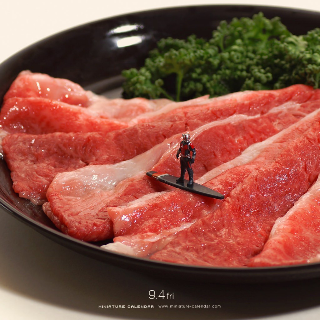 Spend 2016 with these little guys in a miniature world