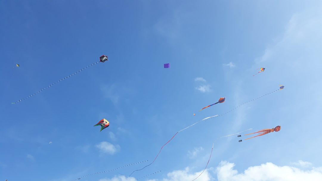 Taken at Te Atatu Kite Festival Copyright Content Catnip 2017