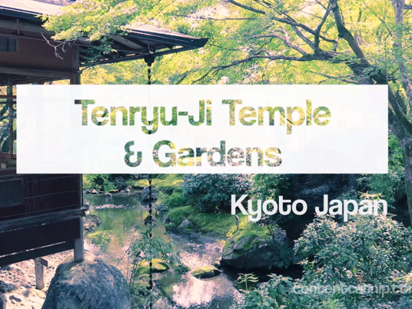 Travel: Tenryu-ji temple and gardens Arashiyama&nbsp;Kyoto