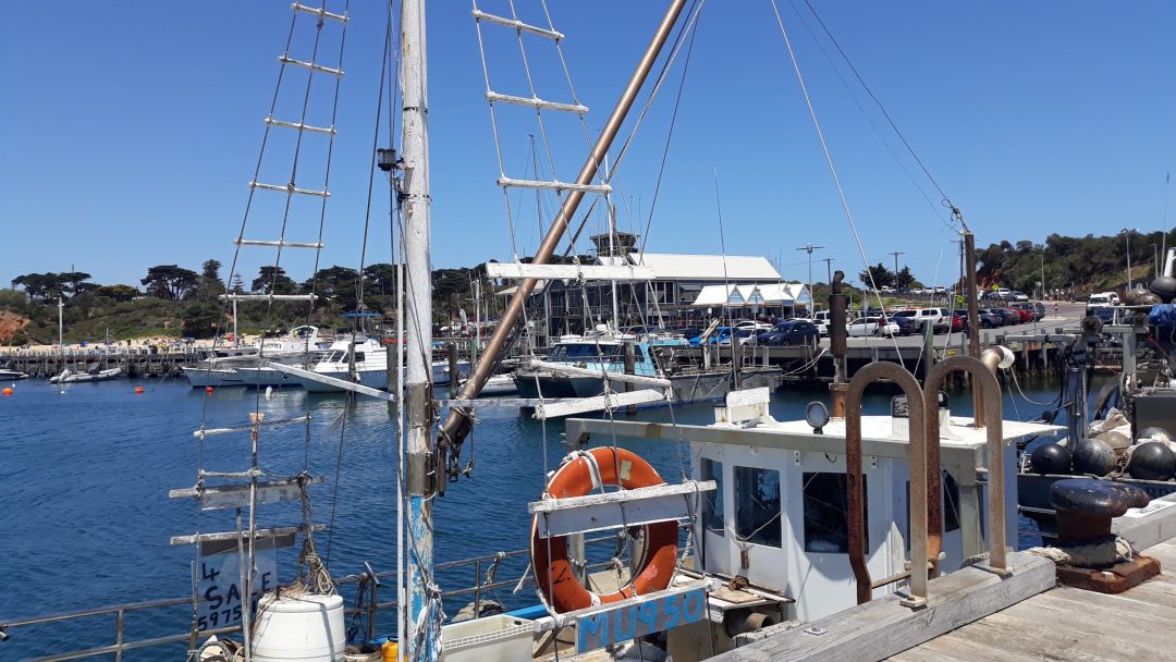 Mother's beach in Mornington by Content Catnip Copyright 2018