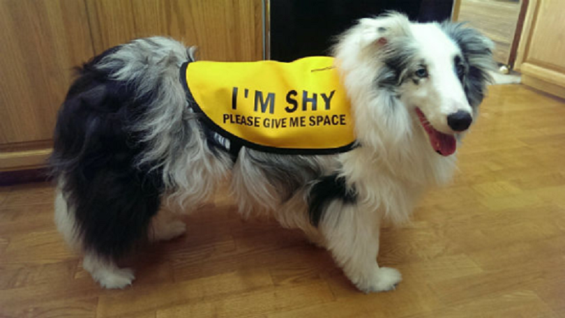 Seven reasons why it's great to be an introvert and having introverted friends