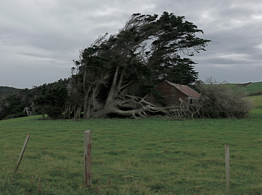 Welcome To The End Of The World - And It's Amazing