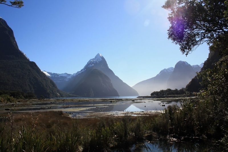 Travel: Magnificent Milford Sound, New Zealand Copyright Content Catnip 2016