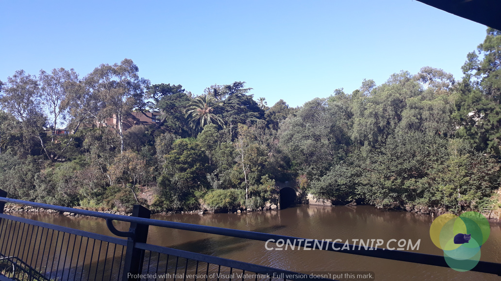 Travel: On Melbourne's Yarra River cycle trail