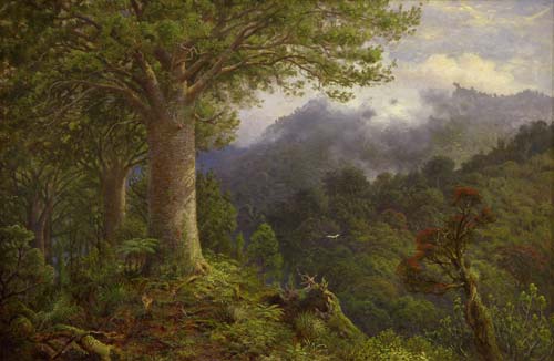 What New Zealand native species are you? Kauri