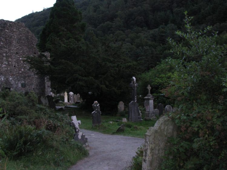 Among the Irish Faeries and Norse Gods