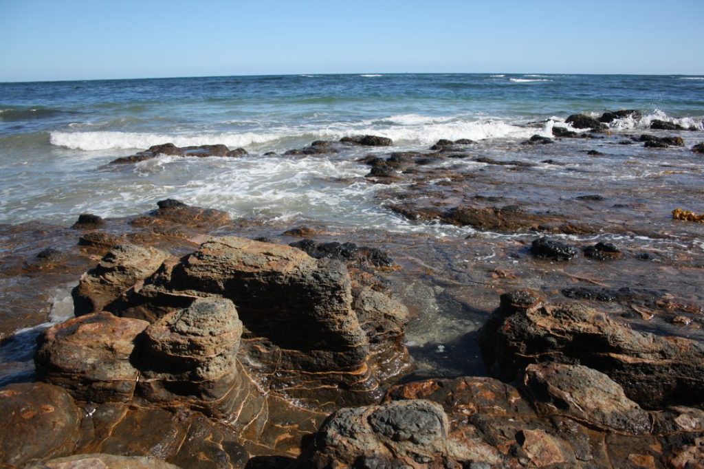 Secrets of the Mornington Peninsula: : Mushroom Reef Sanctuary, Flinders.