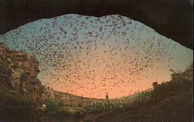 The Post-Apocalyptic Underground Lunchroom