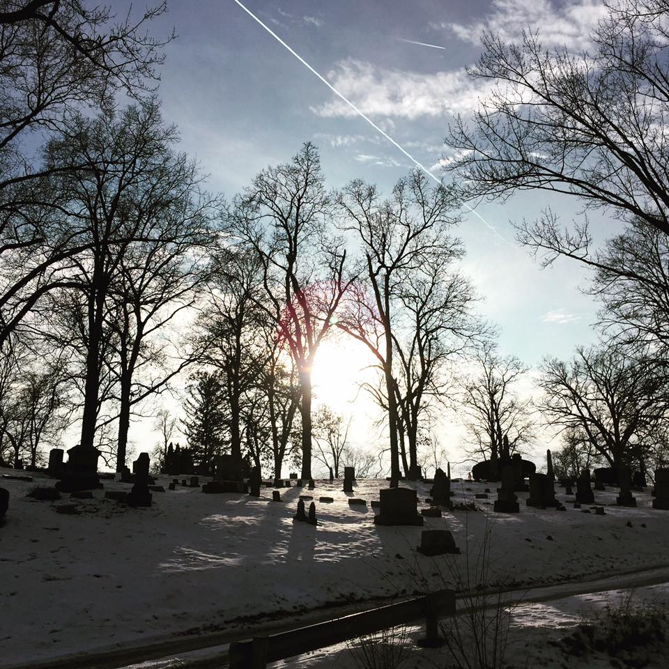 Artists & Writers in Their Own Words: Jarod K Anderson AKA The Cryptonaturalist