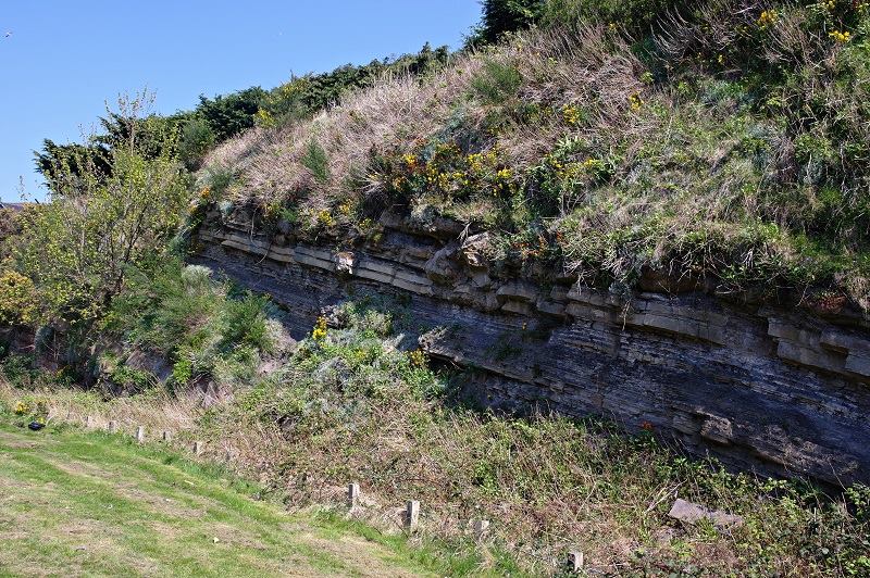 Scotland's Momentous Decision on September 18th