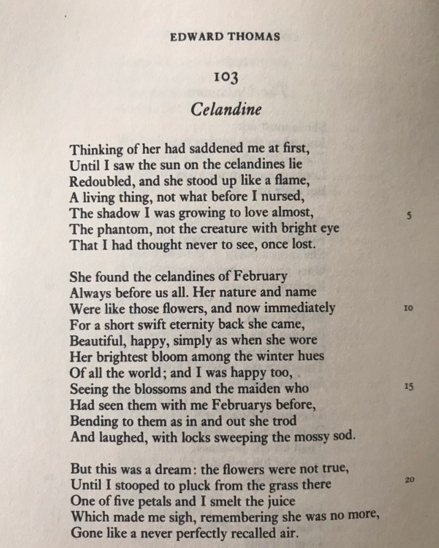 Ancient word of the day: Celandine 